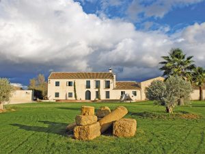 Picture of the farm at Finca la Torre